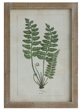 Load image into Gallery viewer, Framed Wall Decor with Fronds, 6 Styles
