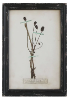 Load image into Gallery viewer, Framed Wall Decor with Floral Art, 16 Styles