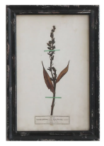 Load image into Gallery viewer, Framed Wall Decor with Floral Art, 16 Styles