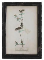 Load image into Gallery viewer, Framed Wall Decor with Floral Art, 16 Styles