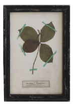 Load image into Gallery viewer, Framed Wall Decor with Floral Art, 16 Styles