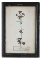 Load image into Gallery viewer, Framed Wall Decor with Floral Art, 16 Styles
