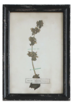 Load image into Gallery viewer, Framed Wall Decor with Floral Art, 16 Styles