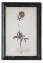 Load image into Gallery viewer, Framed Wall Decor with Floral Art, 16 Styles
