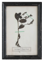 Load image into Gallery viewer, Framed Wall Decor with Floral Art, 16 Styles
