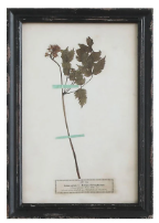 Load image into Gallery viewer, Framed Wall Decor with Floral Art, 16 Styles