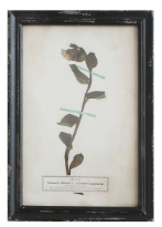 Load image into Gallery viewer, Framed Wall Decor with Floral Art, 16 Styles