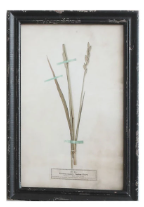 Load image into Gallery viewer, Framed Wall Decor with Floral Art, 16 Styles