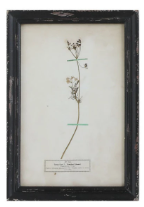 Load image into Gallery viewer, Framed Wall Decor with Floral Art, 16 Styles