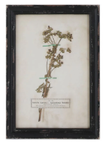 Load image into Gallery viewer, Framed Wall Decor with Floral Art, 16 Styles