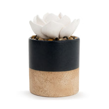 Load image into Gallery viewer, Succulent Oil Diffuser