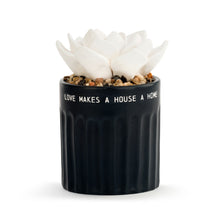 Load image into Gallery viewer, Succulent Oil Diffuser