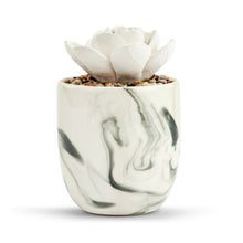Load image into Gallery viewer, Succulent Oil Diffuser