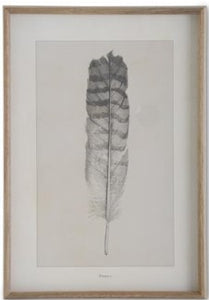 Assorted 25.5 Inch Framed Feather Prints (4 Styles)