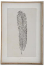 Load image into Gallery viewer, Assorted 25.5 Inch Framed Feather Prints (4 Styles)
