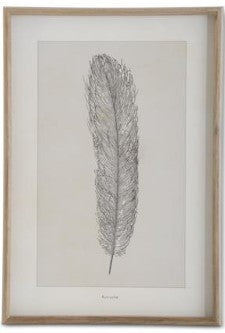 Assorted 25.5 Inch Framed Feather Prints (4 Styles)