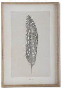 Assorted 25.5 Inch Framed Feather Prints (4 Styles)
