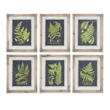 Load image into Gallery viewer, Assorted 16.75 Inch Natural Wood Framed Fern Prints
