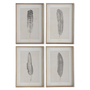 Assorted 25.5 Inch Framed Feather Prints (4 Styles)