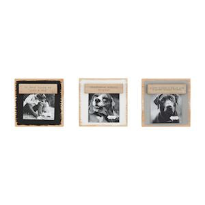 Pet Magnet Block Frames