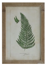 Load image into Gallery viewer, Framed Wall Decor with Fronds, 6 Styles
