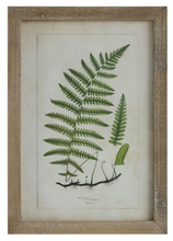 Load image into Gallery viewer, Framed Wall Decor with Fronds, 6 Styles
