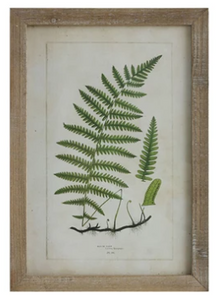 Framed Wall Decor with Fronds, 6 Styles