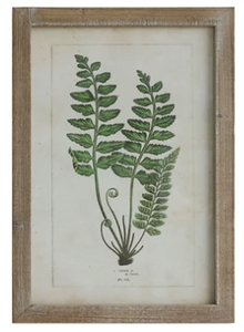 Framed Wall Decor with Fronds, 6 Styles