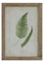 Load image into Gallery viewer, Framed Wall Decor with Fronds, 6 Styles
