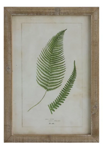 Framed Wall Decor with Fronds, 6 Styles