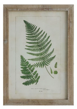 Load image into Gallery viewer, Framed Wall Decor with Fronds, 6 Styles
