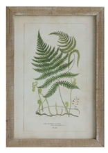 Load image into Gallery viewer, Framed Wall Decor with Fronds, 6 Styles

