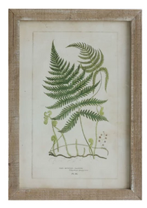 Framed Wall Decor with Fronds, 6 Styles