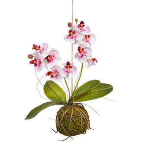 15" REAL TOUCH WHITE AND PINK ORCHID WITH MOSS BALL