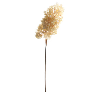 34" DRIED HYDRANGEA SPRAY