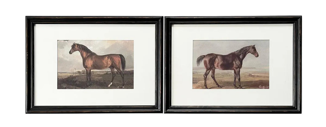 Thoroughbred Prints