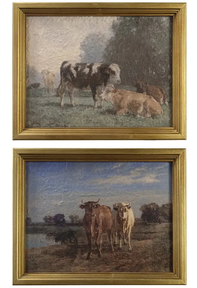 Cow's Grazing Framed Prints
