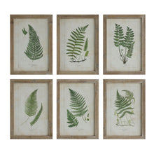 Load image into Gallery viewer, Framed Wall Decor with Fronds, 6 Styles
