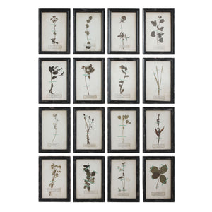 Framed Wall Decor with Floral Art, 16 Styles