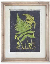 Load image into Gallery viewer, Assorted 16.75 Inch Natural Wood Framed Fern Prints
