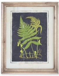 Assorted 16.75 Inch Natural Wood Framed Fern Prints