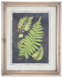 Assorted 16.75 Inch Natural Wood Framed Fern Prints