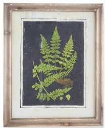 Assorted 16.75 Inch Natural Wood Framed Fern Prints