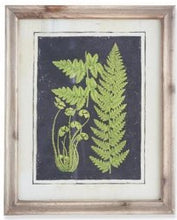 Load image into Gallery viewer, Assorted 16.75 Inch Natural Wood Framed Fern Prints
