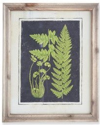 Assorted 16.75 Inch Natural Wood Framed Fern Prints