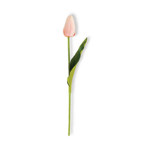 Real Touch Tulip Stem