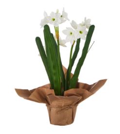 10.75" REAL TOUCH POTTED PAPERWHITES