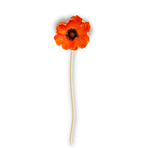 Orange Poppy Stem