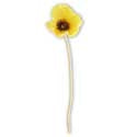 Yellow Poppy Stem