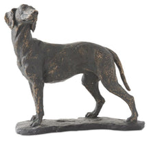 Load image into Gallery viewer, Resin Patina Dog on Base
